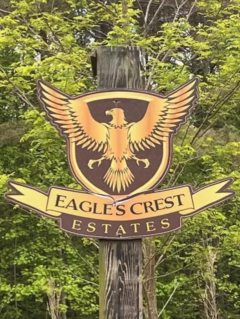lot60 Cartecay View Ln, Ellijay, GA 30536