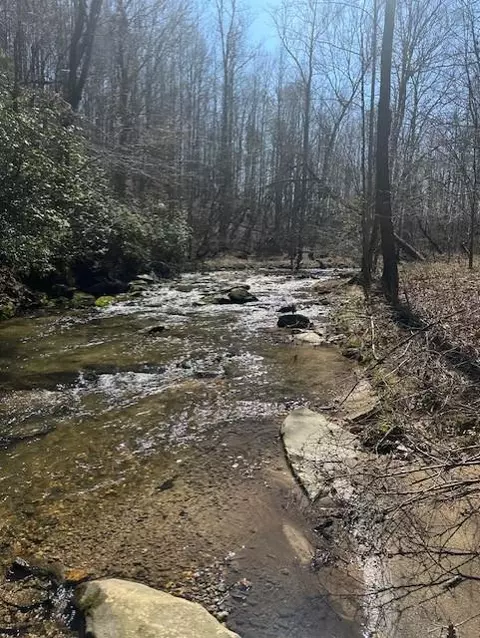 lot16 Bravo Way, Talking Rock, GA 30175