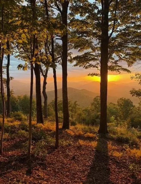16 Summit Drive, Hayesville, NC 28904