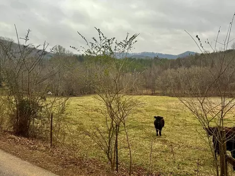 0 Hwy 68, Turtletown, TN 37391