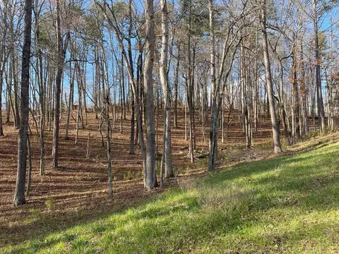 lot Apt 208 Pinnacle Dr, Ellijay, GA 30540