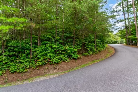 lot9 Laurel Creek Trl, Blue Ridge, GA 30513