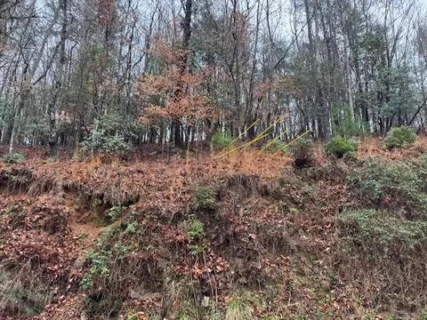 lot171 Beaver Lake Dr, Ellijay, GA 30540