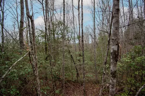 lot6 Posey Pl, Murphy, NC 28906