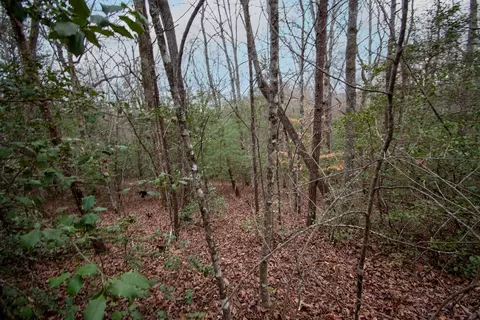 lot6 Posey Pl, Murphy, NC 28906 photo 3