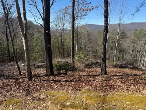 lot56 Fires Creek Cove Rd, Hayesville, NC 28904