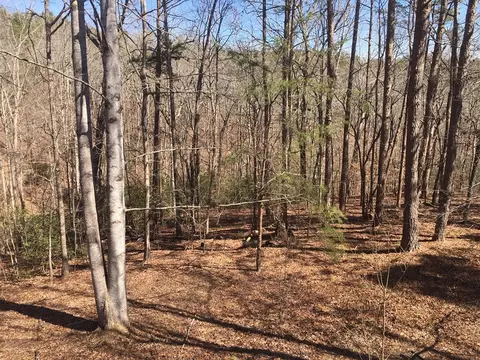 lot10 Olivia Ln, Ball Ground, GA 30107