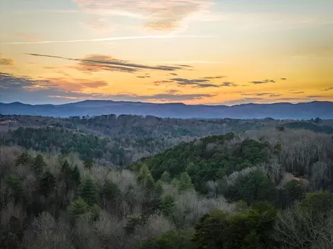 196 S Williamstown Rdg, Mineral Bluff, GA 30559