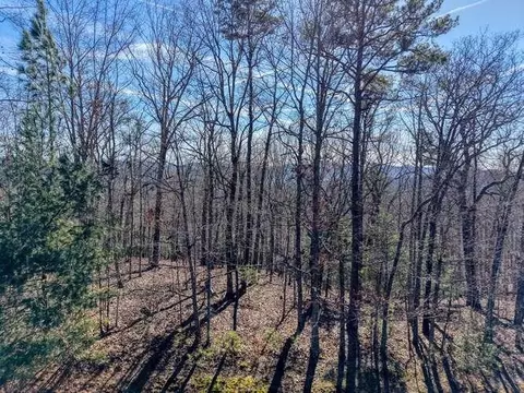 lot61 Thirteen Hundred, Blairsville, GA 30512