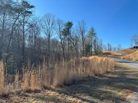 77 River Overlook Ln S, Ellijay, GA 30540