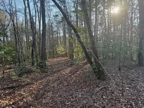 lot3 Willow Rdg, Warne, NC 28909