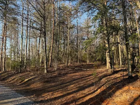 lot3 Willow Rdg, Warne, NC 28909 photo 3
