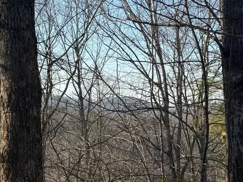 lot3 Willow Rdg, Warne, NC 28909 photo 14