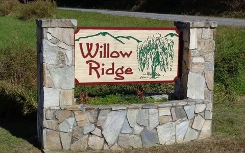 lot3 Willow Rdg, Warne, NC 28909 photo 10