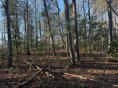 lot3 Willow Rdg, Warne, NC 28909 photo 6