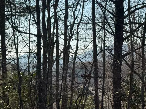 lot3 Willow Rdg, Warne, NC 28909 photo 13