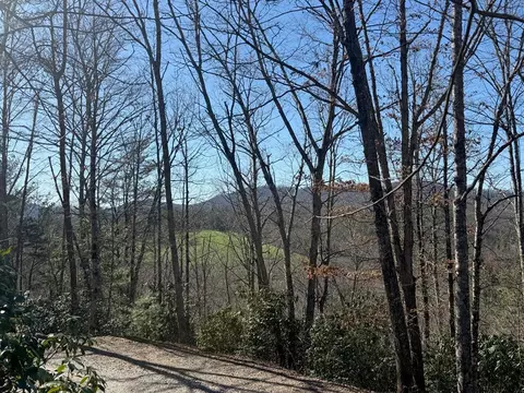 lot4 Willow Rdg, Warne, NC 28909
