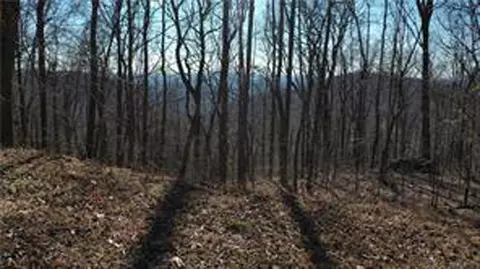 243 Dragon Trl, Ellijay, GA 30536