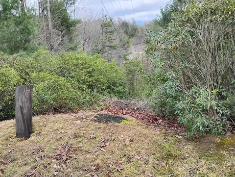 166 Shenendoa Drive, Ellijay, GA 30540