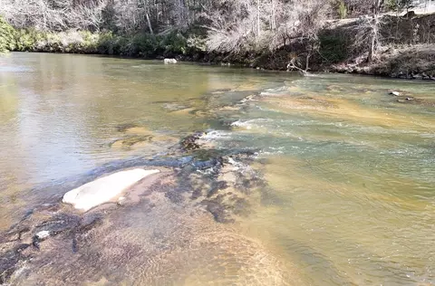 lot Apt 8 Casa Rio Dr, Cornelia, GA 30531