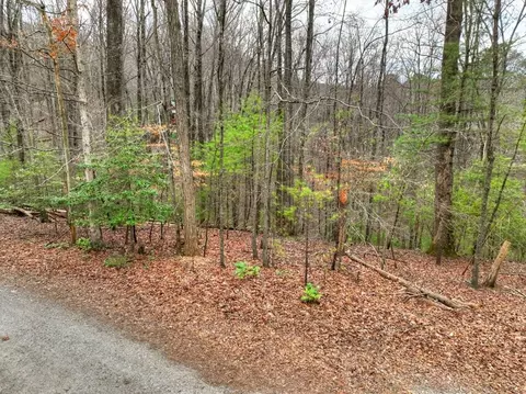 0 Ridge View Ct, Ellijay, GA 30536