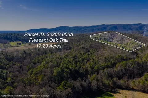17 29 Ac Pleasant Oak Trl, Ellijay, GA 30540