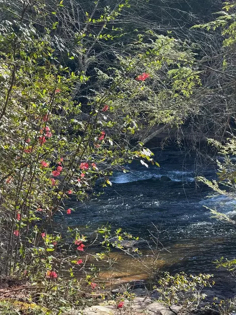 5 Acres Frogtown Pl, Dahlonega, GA 30533