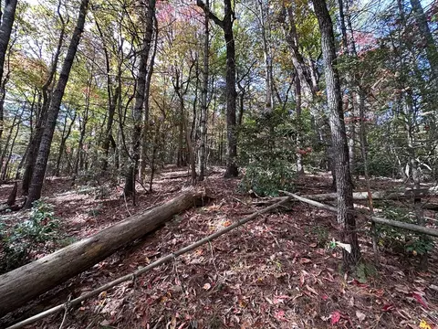 tbd Atoah Loop, Murphy, NC 28906 photo 15