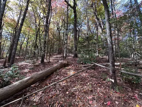 tbd Atoah Loop, Murphy, NC 28906 photo 27