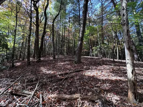 tbd Atoah Loop, Murphy, NC 28906 photo 16