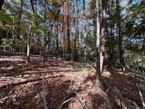 tbd Atoah Loop, Murphy, NC 28906 photo 24