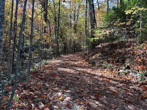 tbd Atoah Loop, Murphy, NC 28906 photo 10