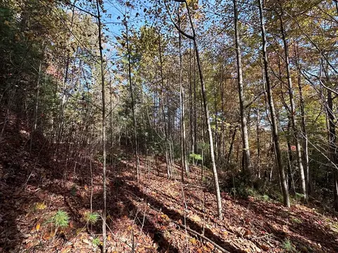 tbd Atoah Loop, Murphy, NC 28906 photo 6