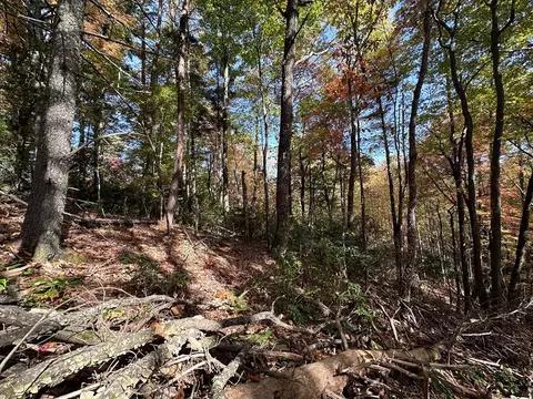 tbd Atoah Loop, Murphy, NC 28906 photo 13