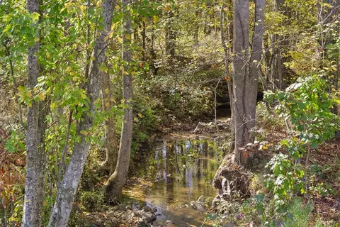 lot334 Twisted Oak Rd, Talking Rock, GA 30175