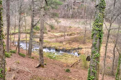 View/Area - 4081 Whitepath Rd, Cherry Log, GA 30522 photo 13 of 14