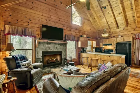 Living - 4081 Whitepath Rd, Cherry Log, GA 30522 photo 1 of 5