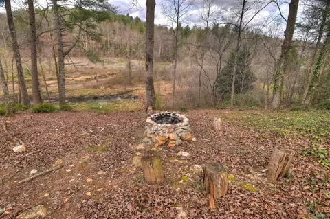 Other - 4081 Whitepath Rd, Cherry Log, GA 30522 photo 5 of 5