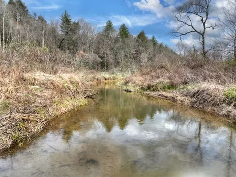 View/Area - 4081 Whitepath Rd, Cherry Log, GA 30522 photo 5 of 14