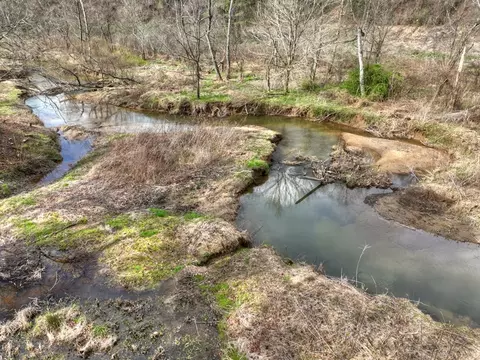 View/Area - 4081 Whitepath Rd, Cherry Log, GA 30522 photo 2 of 14