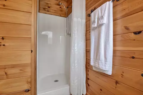 Bath - 4081 Whitepath Rd, Cherry Log, GA 30522 photo 3 of 3