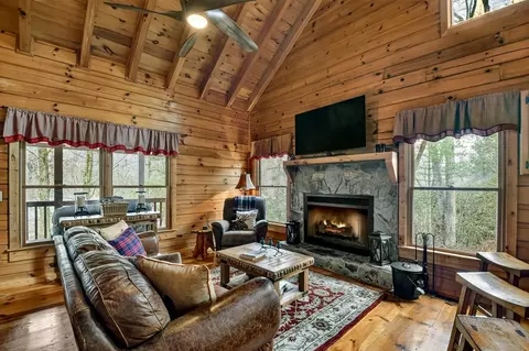 Living - 4081 Whitepath Rd, Cherry Log, GA 30522 photo 2 of 5