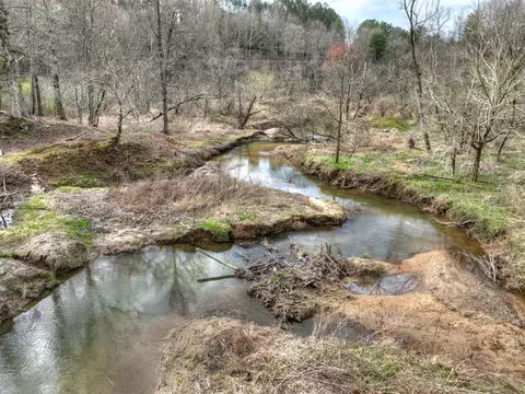 View/Area - 4081 Whitepath Rd, Cherry Log, GA 30522 photo 4 of 14