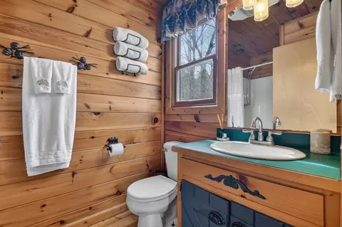 Bath - 4081 Whitepath Rd, Cherry Log, GA 30522 photo 2 of 3