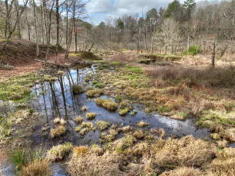 View/Area - 4081 Whitepath Rd, Cherry Log, GA 30522 photo 1 of 14