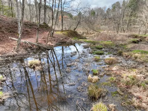 Other - 4081 Whitepath Rd, Cherry Log, GA 30522 photo 2 of 5