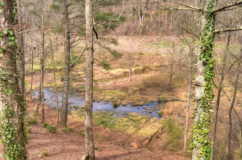 View/Area - 4081 Whitepath Rd, Cherry Log, GA 30522 photo 14 of 14
