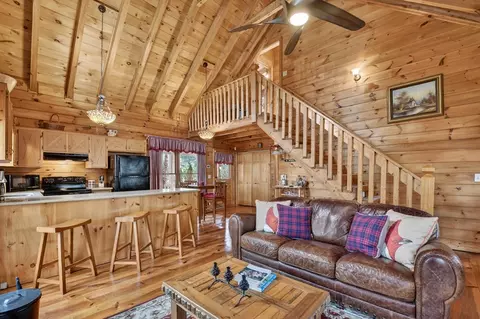 Living - 4081 Whitepath Rd, Cherry Log, GA 30522 photo 4 of 5