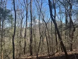 lot14 Butler Creek Rd, Cherry Log, GA 30522