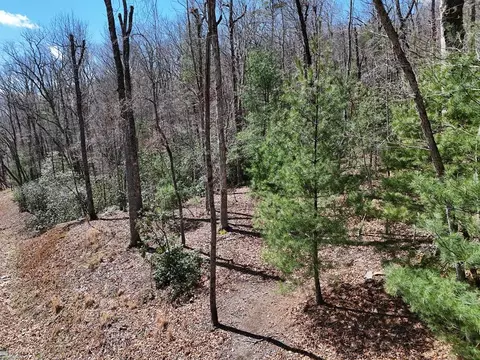 lot9 Native Trl, Blue Ridge, GA 30513